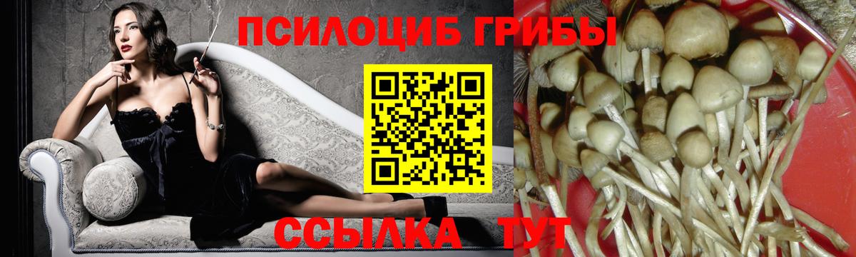 Галлюциногенные грибы Magic Shrooms  Псилоцибиновые грибы прущие грибы  Вход с VPN  Рославль 